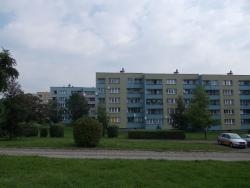 image-232